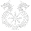 Dragon Vegvisir