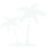 Palm Island Silhouette