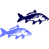 Two blue fish silhouettes