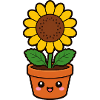Cheerful sunflower in pot