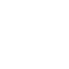 Dolphin Paint Splash White