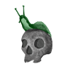 Schädel mit Schnecke