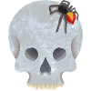 Schädel mit Spinne