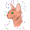 Sphynx with stars