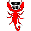 Roter Skorpion auf schwarzem Hintergrund