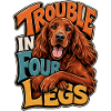 English Setter