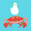 Crabb-n-Gull turquoise