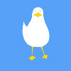 Möwe