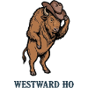 Westward Bison with Cowboy Hat