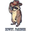 Waschbär-Rancher mit Cowboyhut