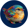 Bunter Regenbogenvogel