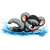 Süßer Koala beim Schwimmen