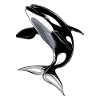 Orques Animaux marins