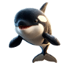 Orques Animaux marins