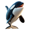 Orques Animaux marins