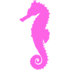 Seepferdchen pink