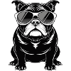 Bulldog Wearing Sunglasses