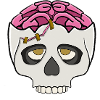 Pink brain in the skull