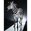 Zebra Light Trail