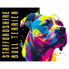 Staffie Head Popart - 050