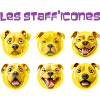 Les stafficones - 053 