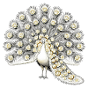 White Peacock with Rose Tail