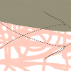Rosé net on olive background