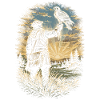 Falconry Falconers