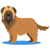 Fuzzy Briard (comic)