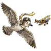 Seagull-pilot over the plane