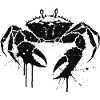 Black crab dripping ink