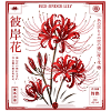 Japan Blume Rote Lilie 