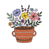 Flowers in Terracotta Pot