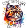 Exotic Shorthair Cat Dad