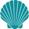 Turquoise Seashell Graphic Beach Motif