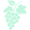 Weinreben Silhouette Trauben Design