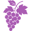 Purple Grapes Silhouette
