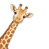 Giraffe Shirt, Animal Lover Tshirt