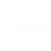 Wall Street Millionaire in Progress