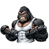 Muscular gorilla doing bodybuilding