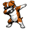 Dabbing Staffordshire Bull Terrier