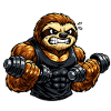 Strong sloth in bodybuilding