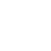 Hen Paint Splash White Splash