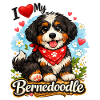 Bernedoodle