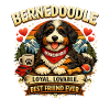 Bernedoodle – Doux, Amusant et Mignon