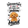 Sag Hallo zu Hunden Zwergpudel