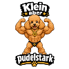 Klein aber Pudelstark!
