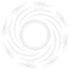Dragon's Orbit