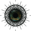 The Watcher