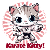 Karate Kitty